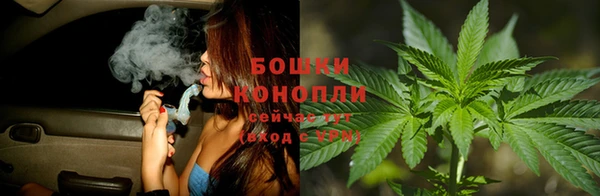 шишки Приозерск