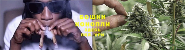 шишки Приозерск