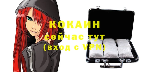 шишки Приозерск