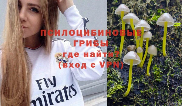 эйфоретик Северо-Курильск