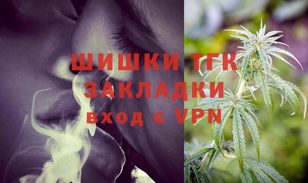 шишки Приозерск