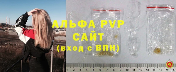 шишки Приозерск