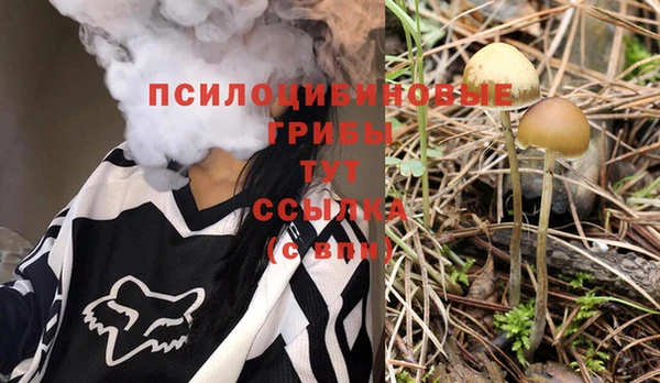 эйфоретик Северо-Курильск
