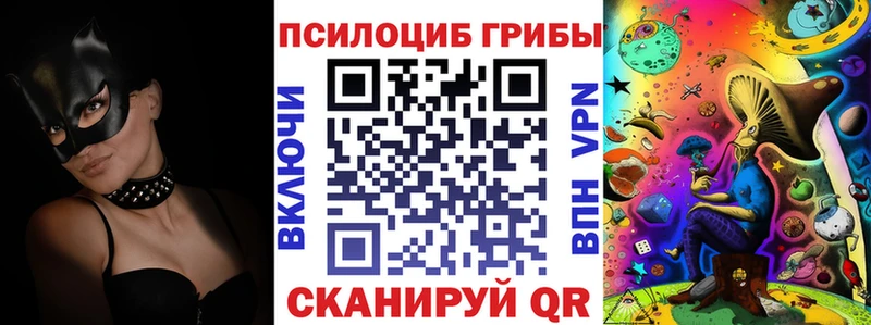 Псилоцибиновые грибы Magic Shrooms  купить закладку  mega зеркало  Судогда 